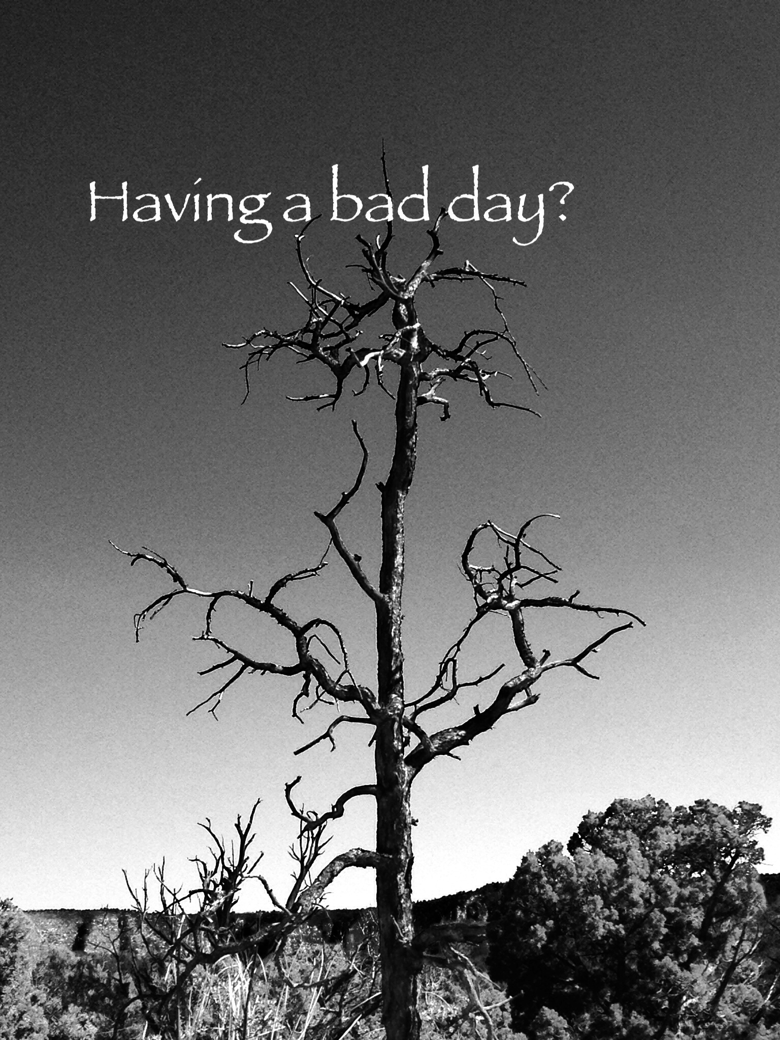 funny-poster-pictures-having-a-bad-day