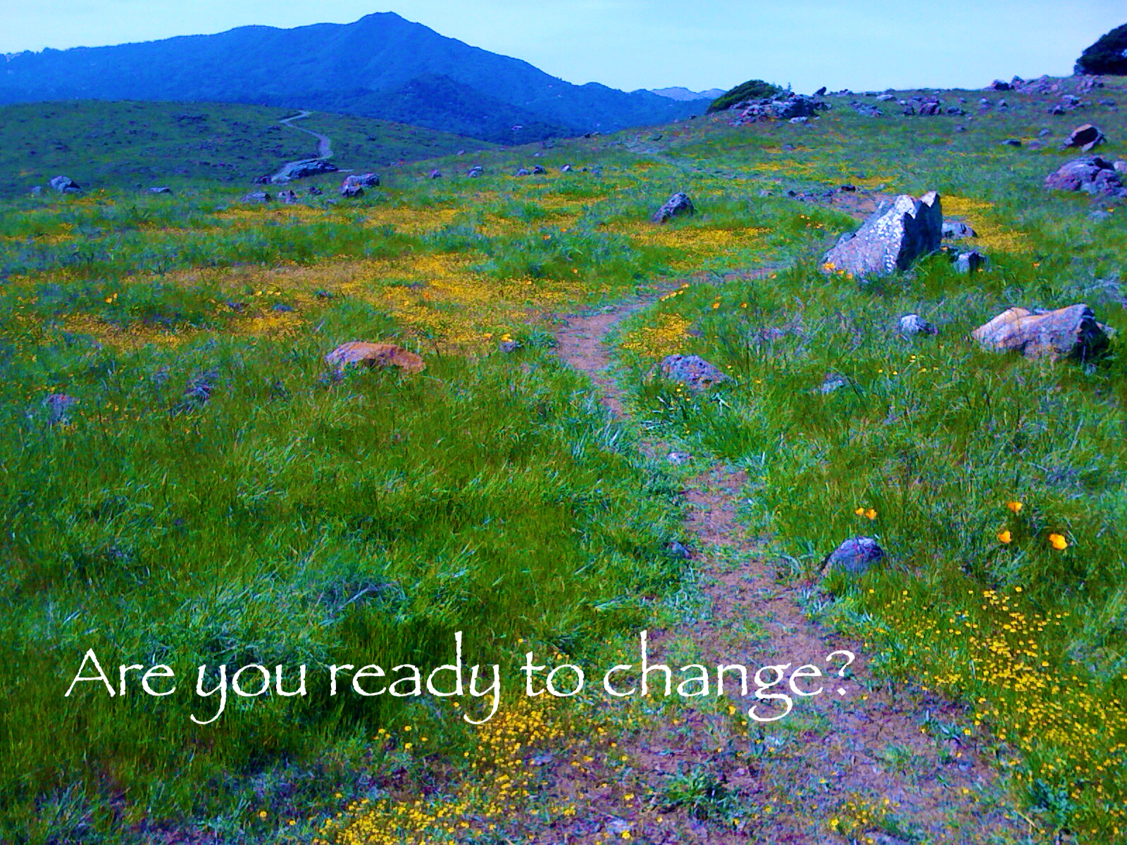 Are you ready to change?