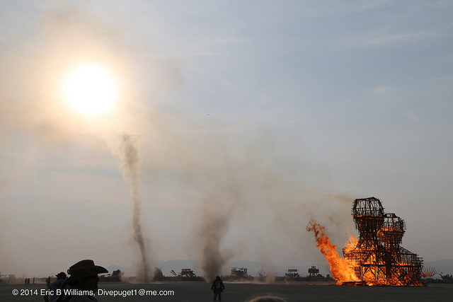 Burning Man 2014 main burn